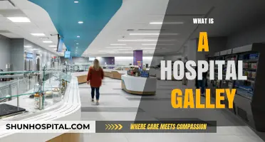 Exploring the Heart of Healthcare: What is a Hospital Galley?