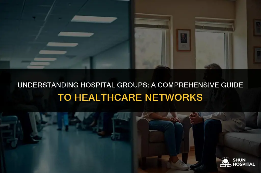 what is a hospital group