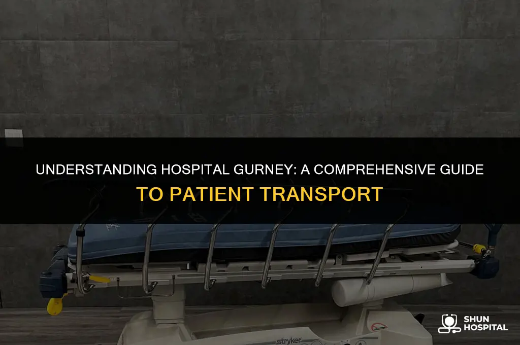 what is a hospital gurnee