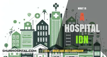 Understanding Hospital IDNs: A Comprehensive Guide for Healthcare Professionals