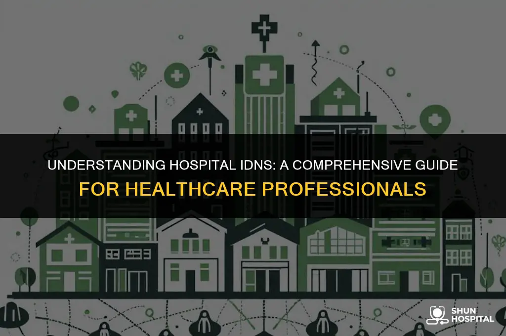 what is a hospital idn