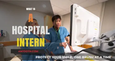 Exploring the Role and Responsibilities of a Hospital Intern
