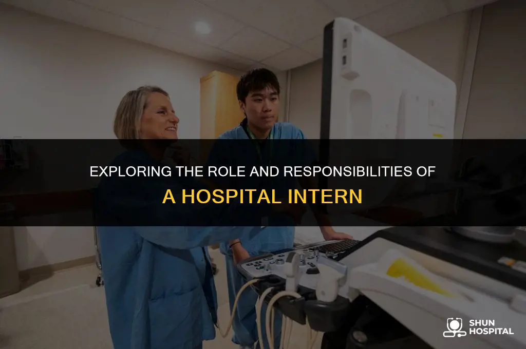what is a hospital intern