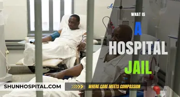 Understanding Hospital Jails: A Comprehensive Guide to Medical Detention Facilities