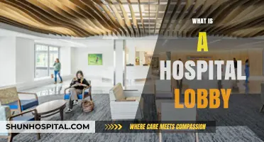Exploring the Heart of Healthcare: What is a Hospital Lobby?