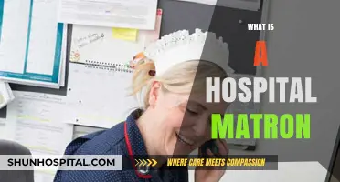 Exploring the Vital Role of a Hospital Matron in Healthcare