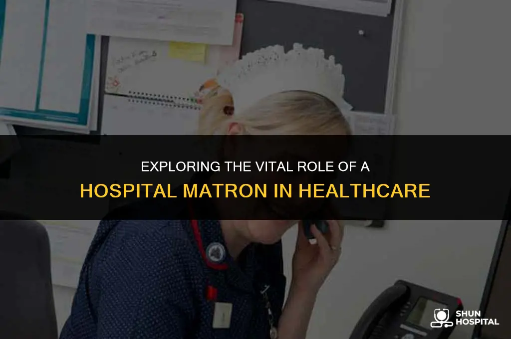what is a hospital matron