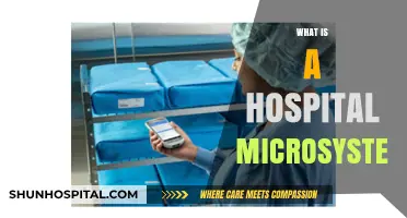 Understanding Hospital Microsystems: A Comprehensive Guide