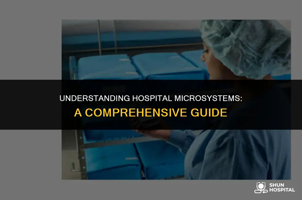 what is a hospital microsystem