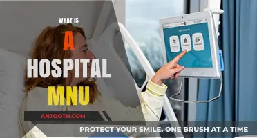 Exploring the Ins and Outs of Hospital Menu Systems
