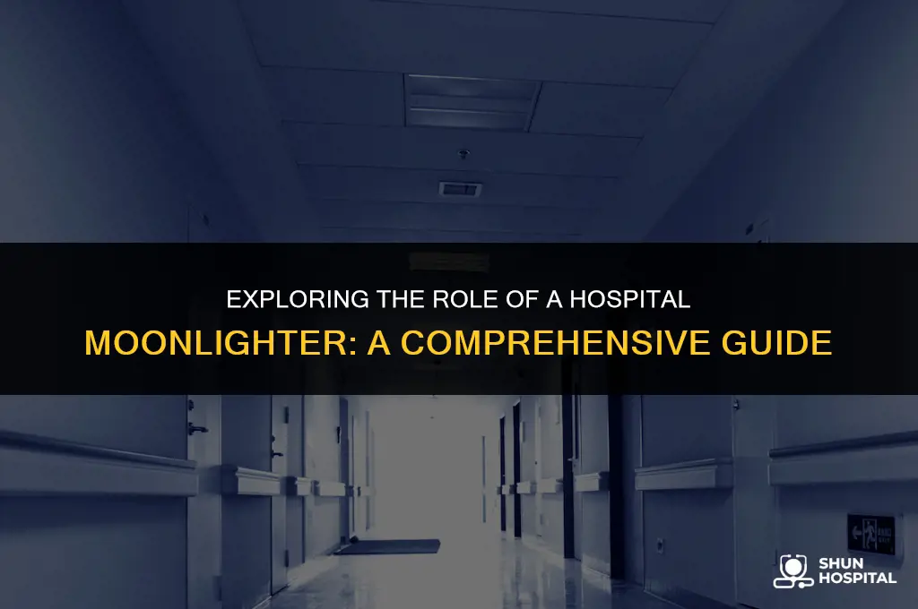what is a hospital moonlighter