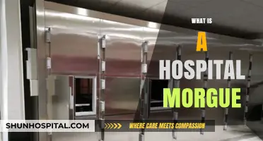 Understanding the Role and Function of a Hospital Morgue