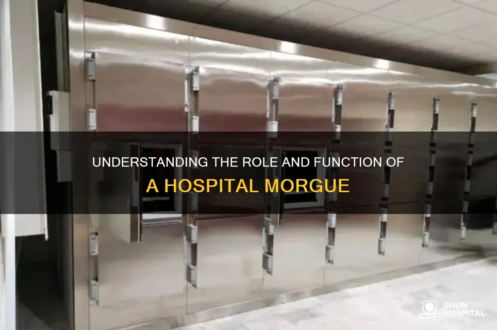 what is a hospital morgue