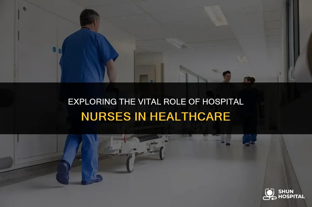 what is a hospital nurse