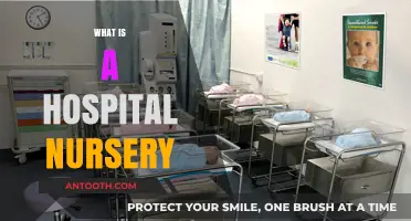 Exploring the Heart of New Beginnings: Inside a Hospital Nursery