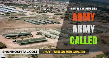 Understanding Military Medical Facilities: What is a Hospital on an Army Base Called?
