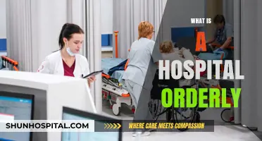 Understanding the Role of a Hospital Orderly: Essential Duties Explained