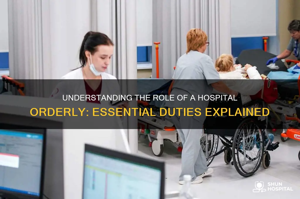 what is a hospital orderly