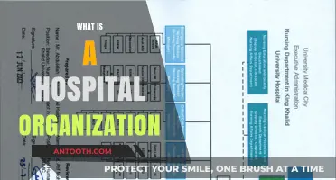 Understanding Hospital Organizations: Structure, Function, and Importance