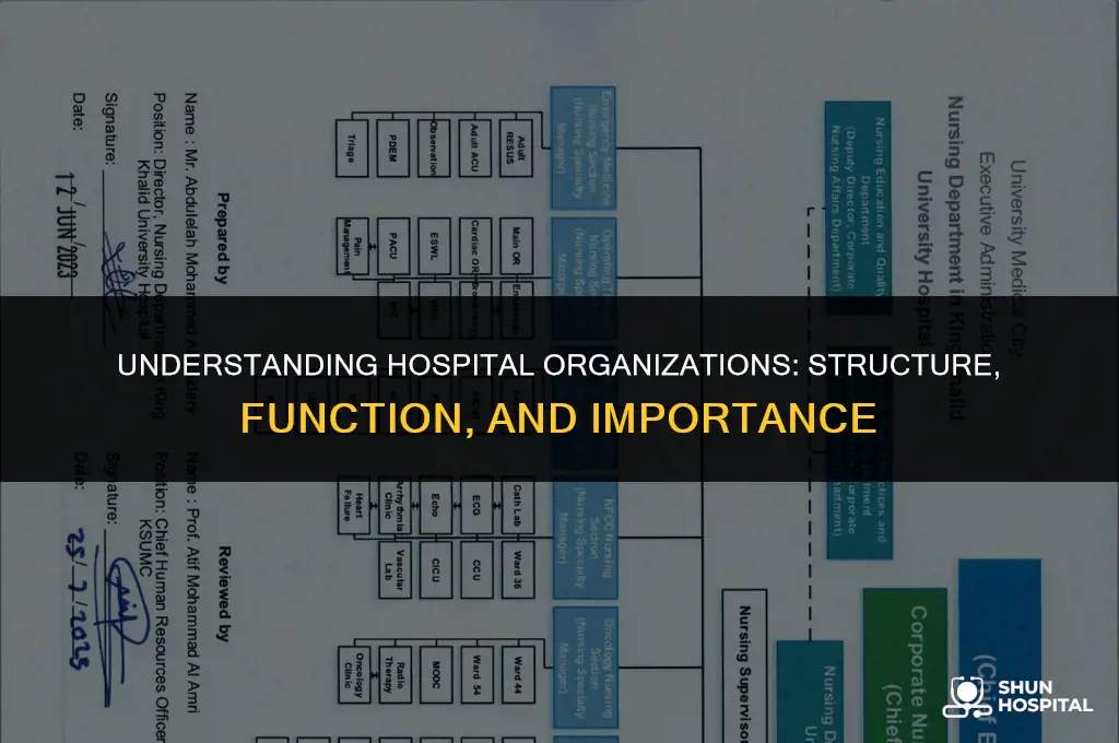 what is a hospital organization