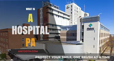 Exploring the Role and Responsibilities of a Hospital PA