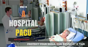 Understanding the Role and Importance of a Hospital PACU