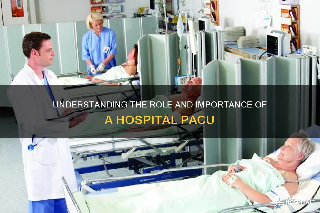 what is a hospital pacu