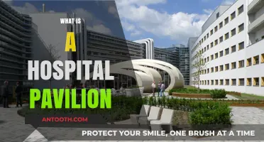 Exploring the Purpose and Design of Hospital Pavilions