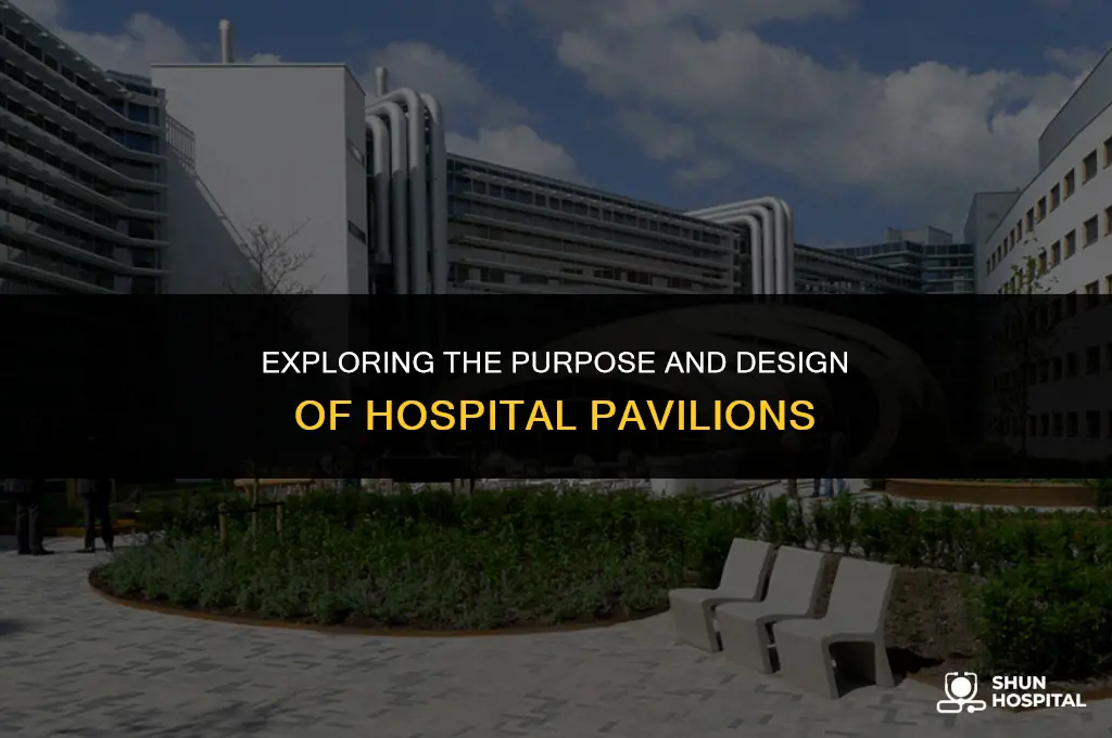 what is a hospital pavilion