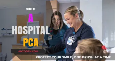 Understanding the Role of a Hospital PCA: Essential Patient Care Assistant