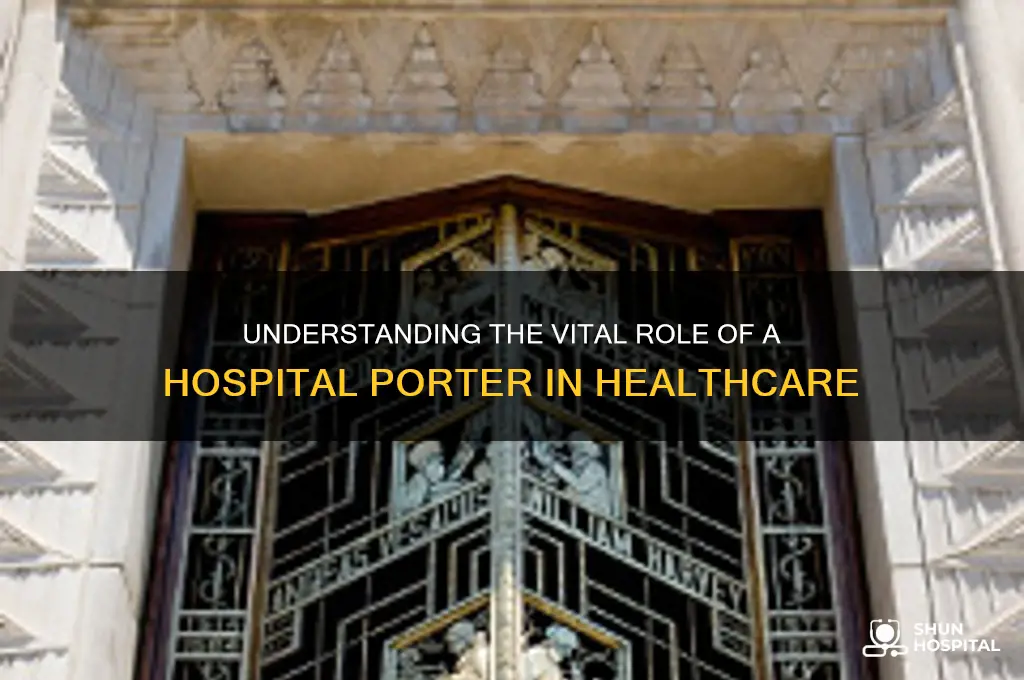 what is a hospital porter