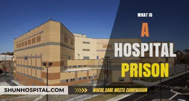 Behind Bars and Beyond: The Complex World of Hospital Prisons
