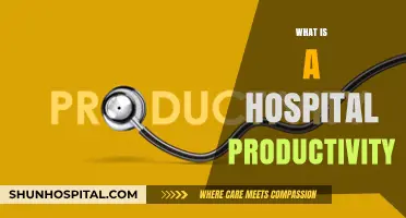 Boosting Efficiency: A Comprehensive Guide to Hospital Productivity