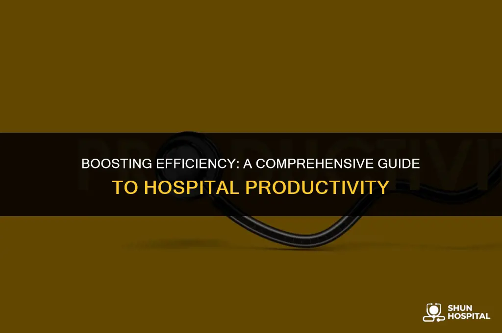 what is a hospital productivity