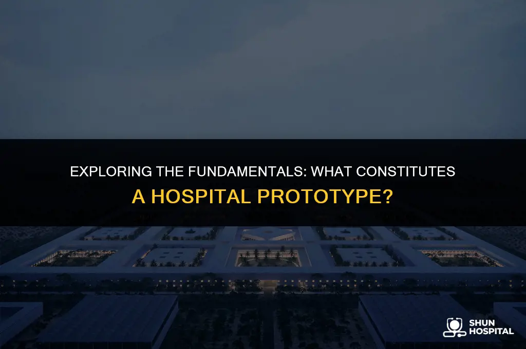 what is a hospital proto