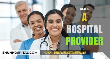 Understanding Hospital Providers: A Comprehensive Guide to Healthcare Services