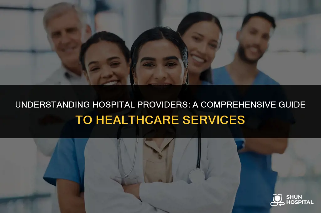 what is a hospital provider