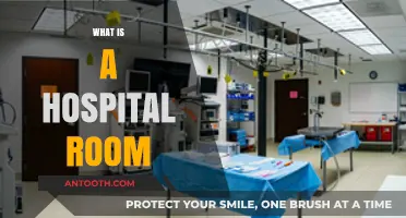 Exploring the Anatomy of a Hospital Room: A Comprehensive Guide