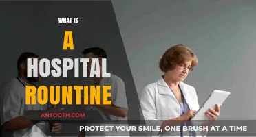 Exploring the Daily Rhythm: A Glimpse into Hospital Routine
