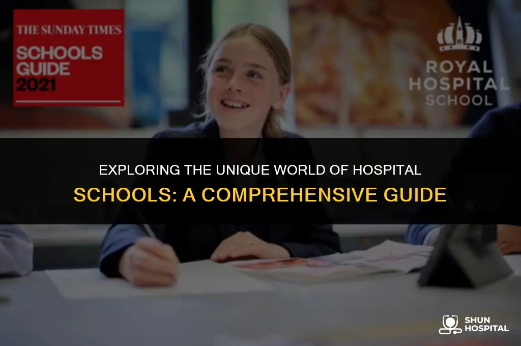 what is a hospital school