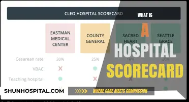 Evaluating Healthcare Excellence: Understanding Hospital Scorecards