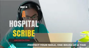 Understanding the Role of a Hospital Scribe in Healthcare