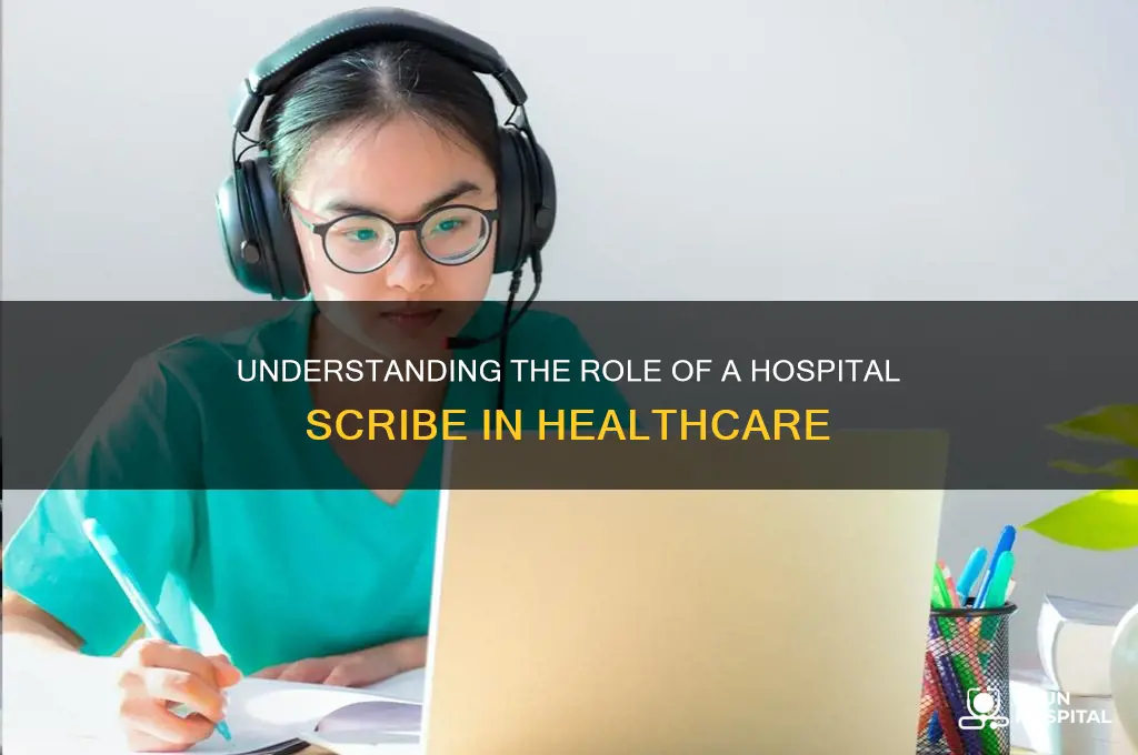 what is a hospital scribe