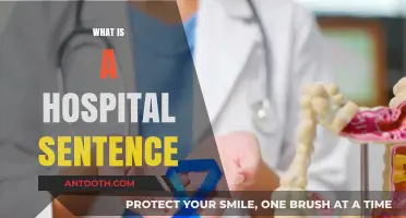 Understanding Hospital Sentences: A Comprehensive Guide