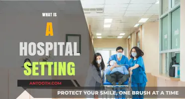 Exploring the Dynamics of a Hospital Setting: A Comprehensive Guide