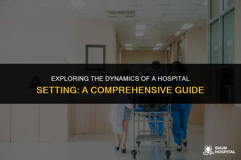 what is a hospital setting