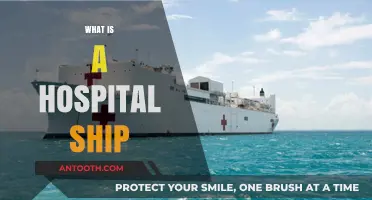 Exploring the Lifeline of Maritime Medicine: What Is a Hospital Ship?