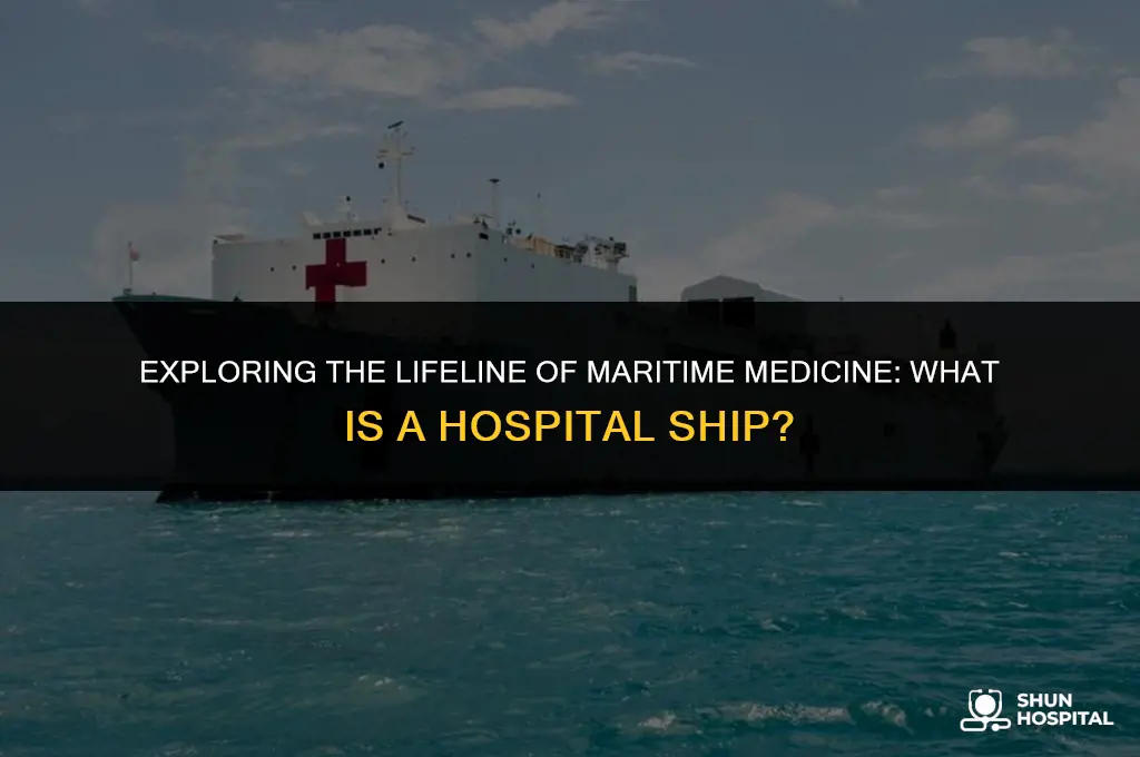 what is a hospital ship