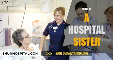 Exploring the Role of a Hospital Sister: A Comprehensive Guide