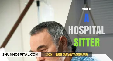 Understanding the Role of a Hospital Sitter: Essential Patient Care Support